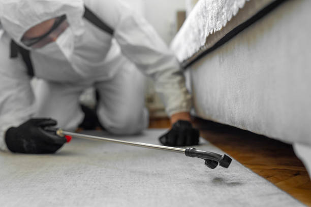 Professional Cockroach Control technician working in La Marque, TX
